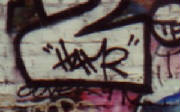 ham2.jpg
